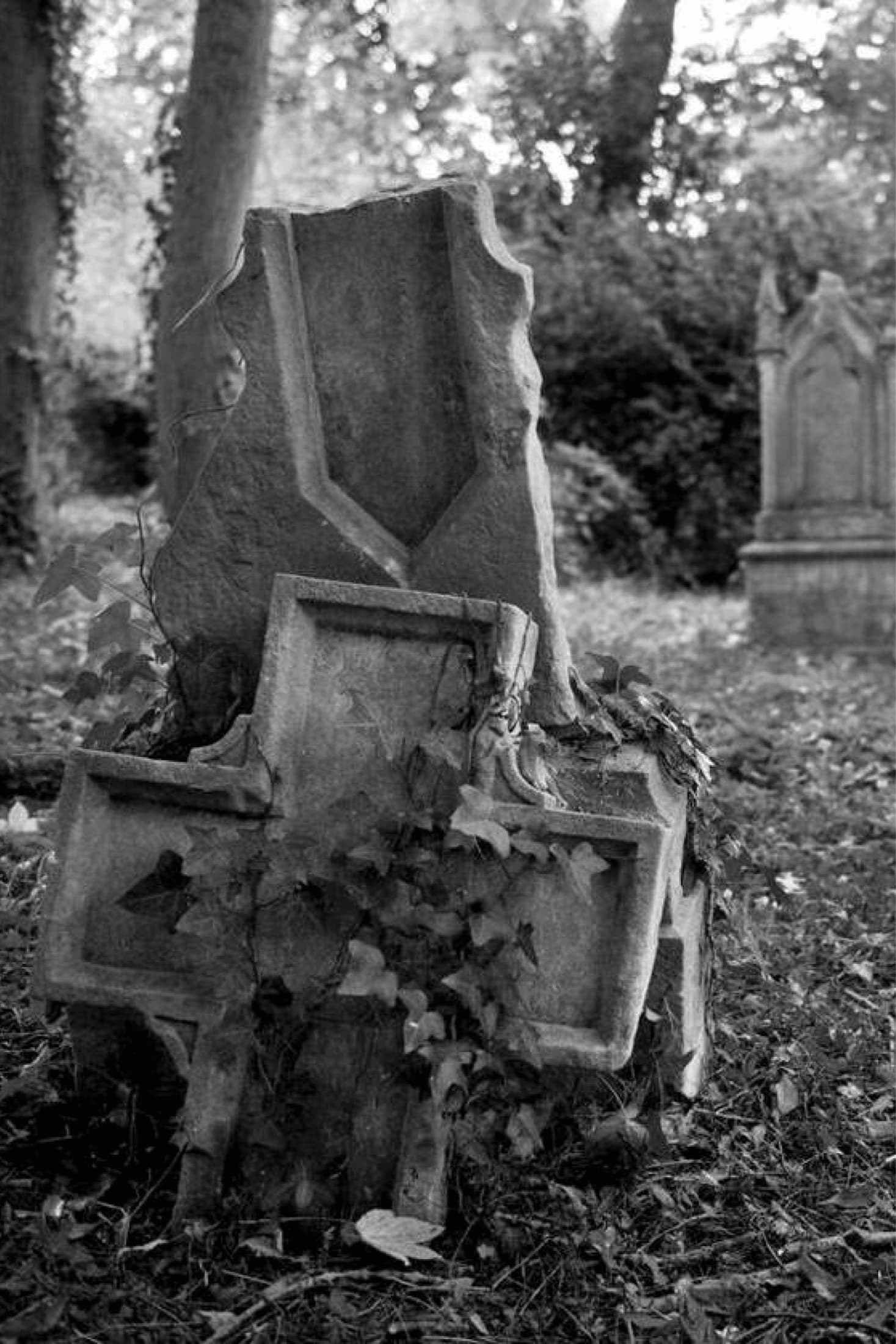Fête des morts